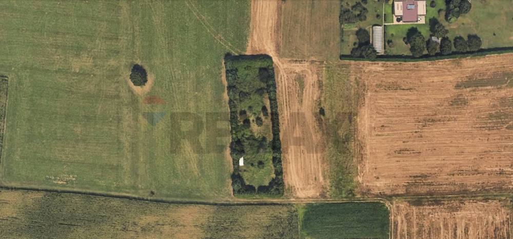 terreno agricolo in vendita a Besano