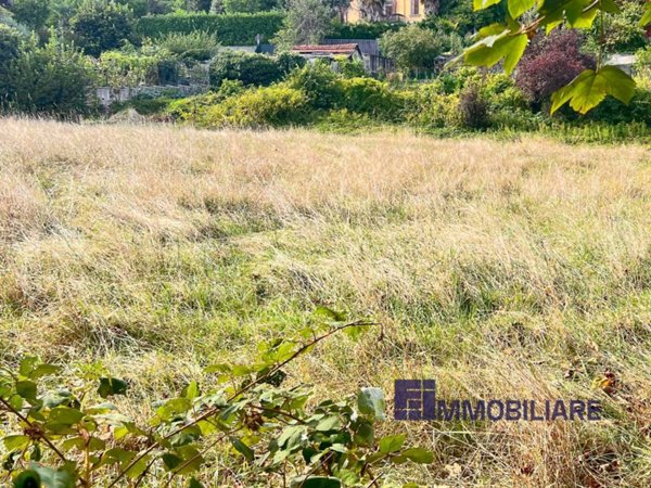 terreno edificabile in vendita a Besozzo in zona Olginasio