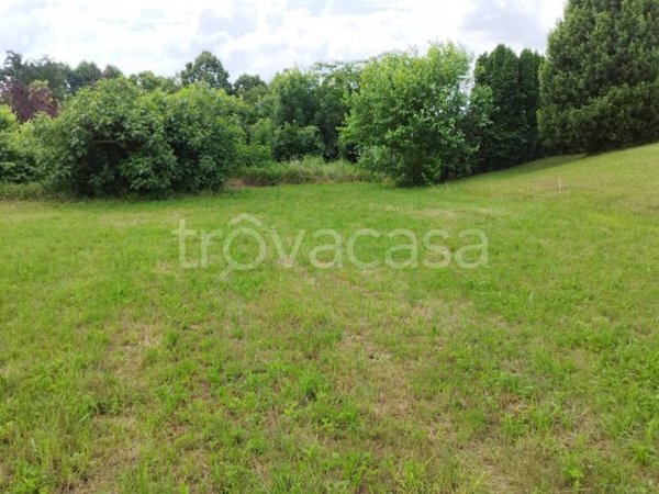 terreno agricolo in vendita a Besozzo