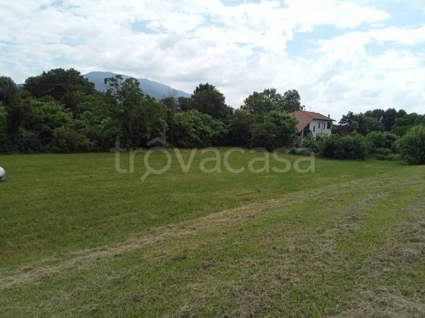 terreno agricolo in vendita a Besozzo