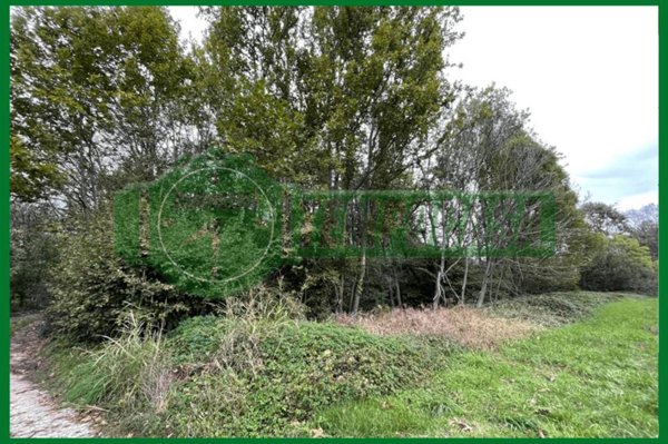 terreno agricolo in vendita a Besozzo in zona Olginasio