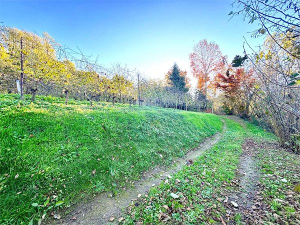 terreno agricolo in vendita a Besozzo in zona Olginasio