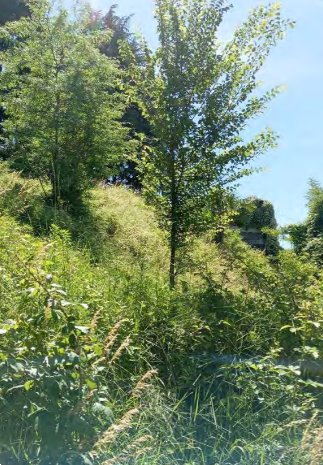 intera palazzina in vendita a Besozzo