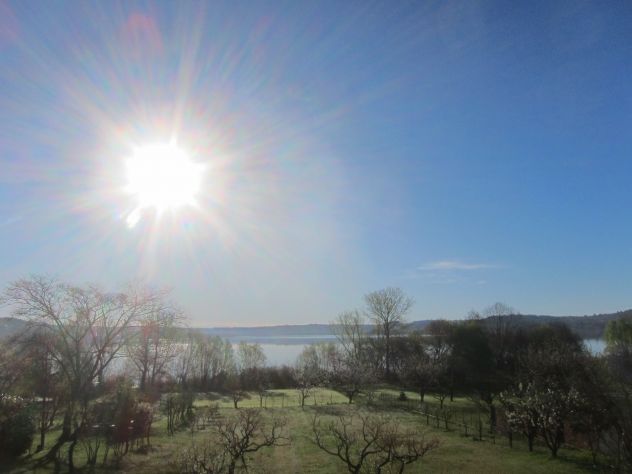 casa semindipendente in vendita a Biandronno