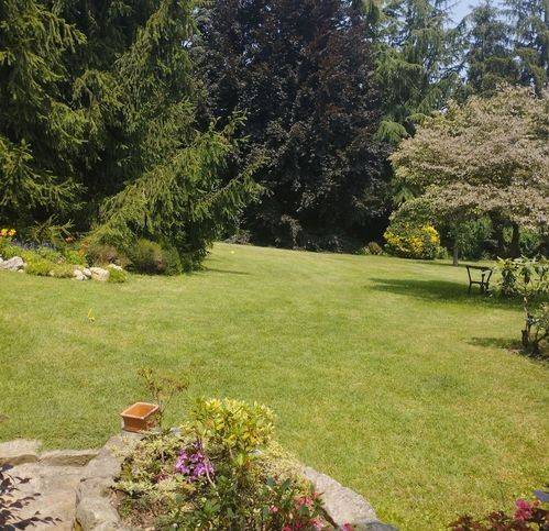 appartamento in vendita a Bisuschio