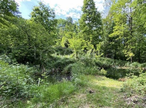 terreno edificabile in vendita a Bisuschio