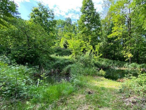 terreno edificabile in vendita a Bisuschio