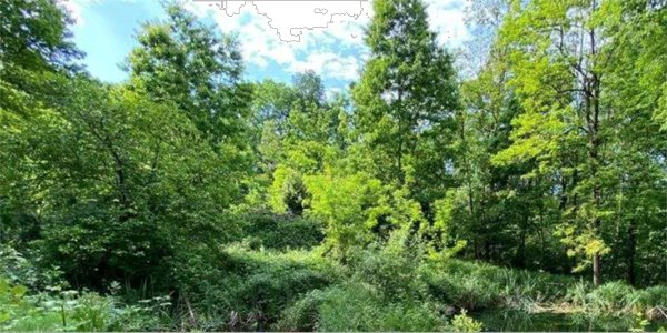 terreno agricolo in vendita a Bisuschio