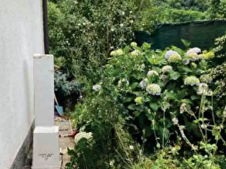 casa indipendente in vendita a Bisuschio