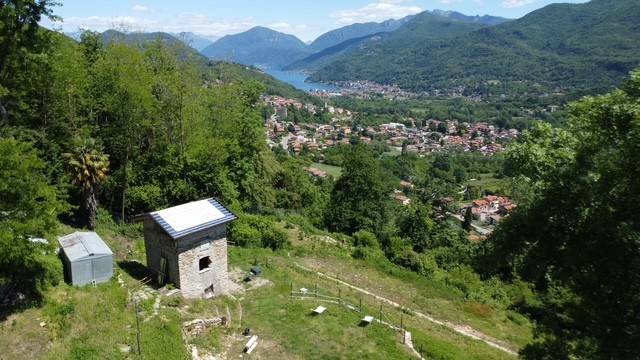 terreno agricolo in vendita a Bisuschio in zona Pogliana