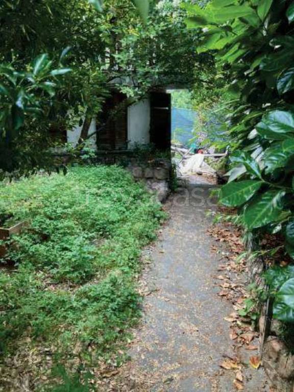 appartamento in vendita a Bisuschio