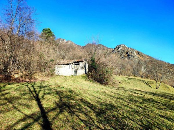 terreno agricolo in vendita a Brezzo di Bedero