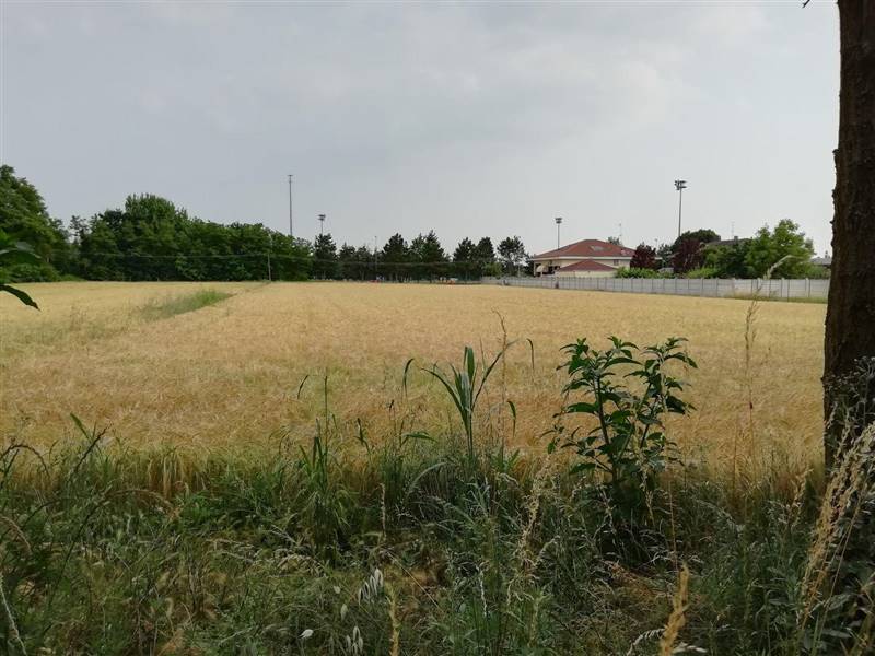 terreno agricolo in vendita a Busto Arsizio