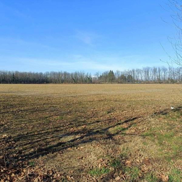 terreno agricolo in vendita a Busto Arsizio in zona Borsano