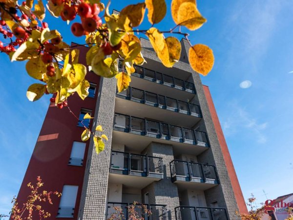 appartamento in vendita a Busto Arsizio