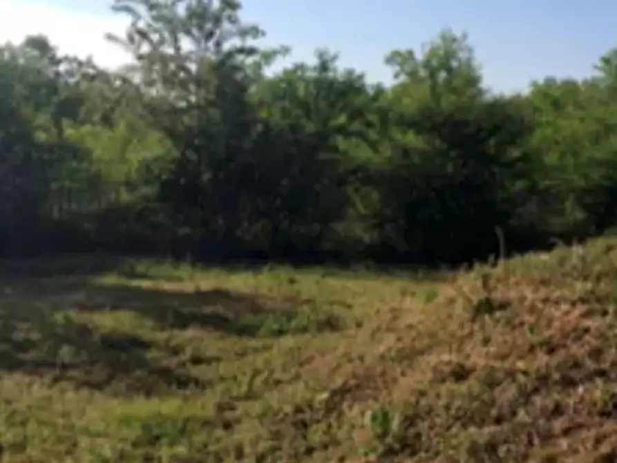terreno agricolo in vendita a Busto Arsizio