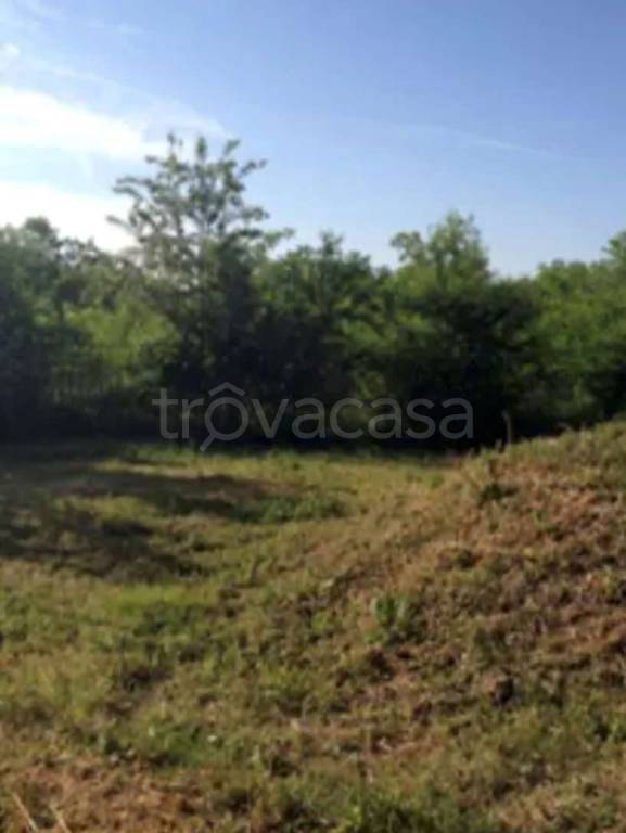 appartamento in vendita a Busto Arsizio