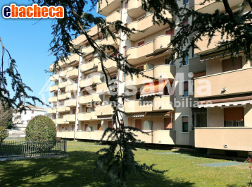 appartamento in vendita a Busto Arsizio