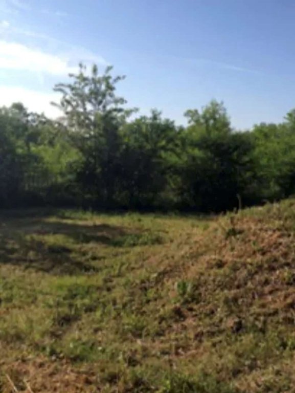 terreno agricolo in vendita a Busto Arsizio