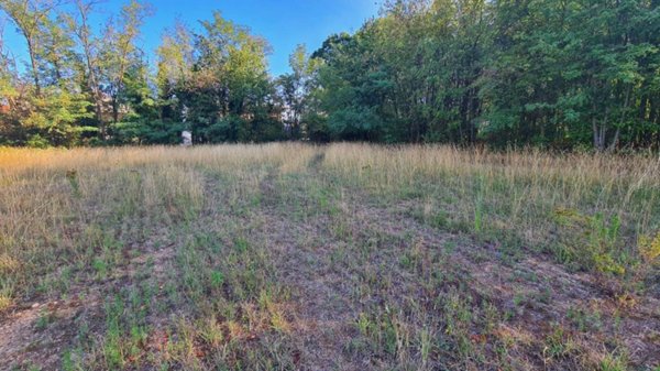 terreno agricolo in vendita a Busto Arsizio in zona Borsano