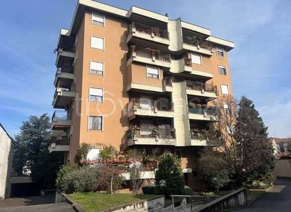 appartamento in vendita a Busto Arsizio