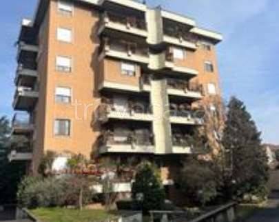 appartamento in vendita a Busto Arsizio