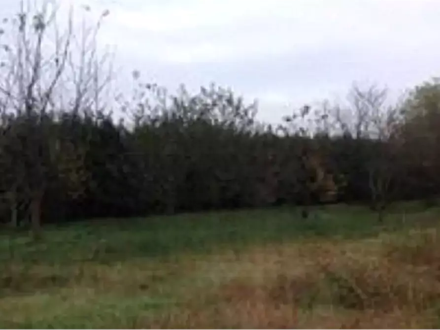 terreno edificabile in vendita a Busto Arsizio