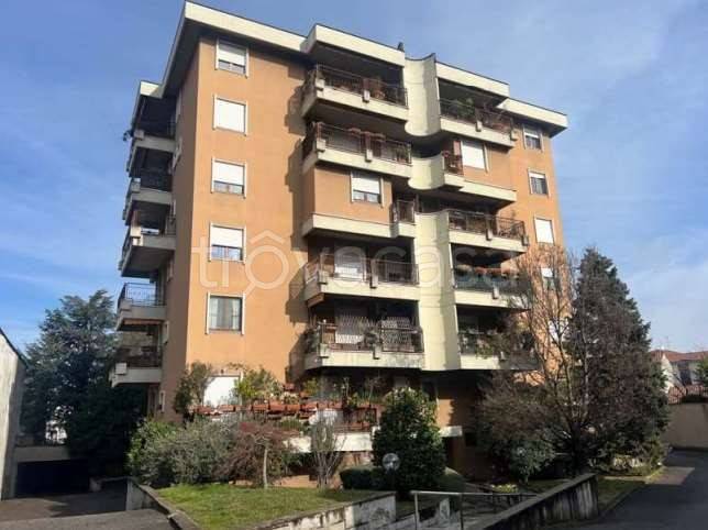 appartamento in vendita a Busto Arsizio