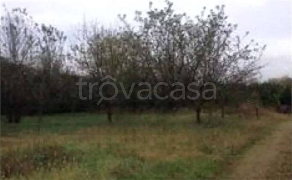appartamento in vendita a Busto Arsizio