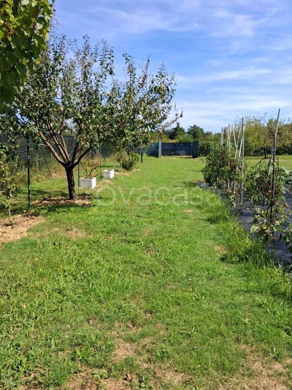 terreno agricolo in vendita a Busto Arsizio in zona Borsano