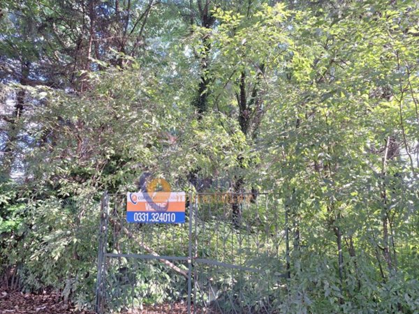 terreno edificabile in vendita a Busto Arsizio in zona Borsano