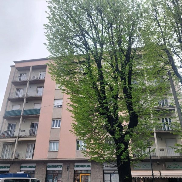 appartamento in vendita a Busto Arsizio