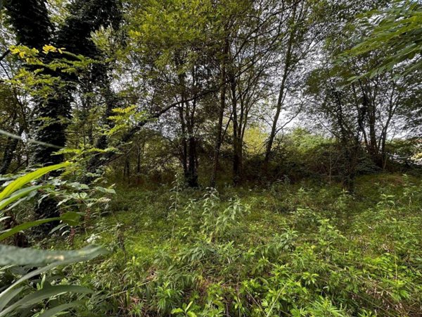 terreno edificabile in vendita a Busto Arsizio in zona Borsano