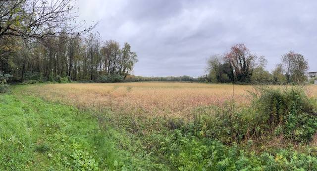 immagine annuncio 0 di 5