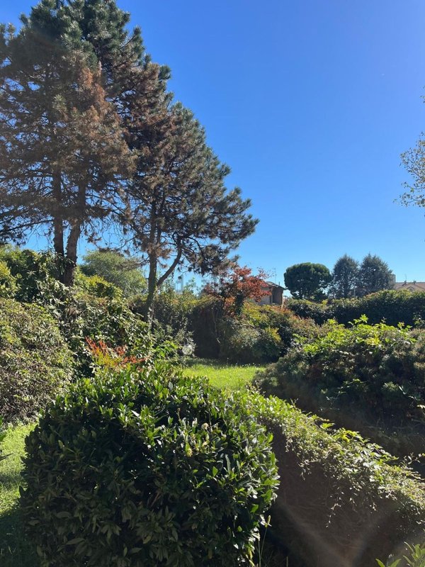 appartamento in vendita a Busto Arsizio