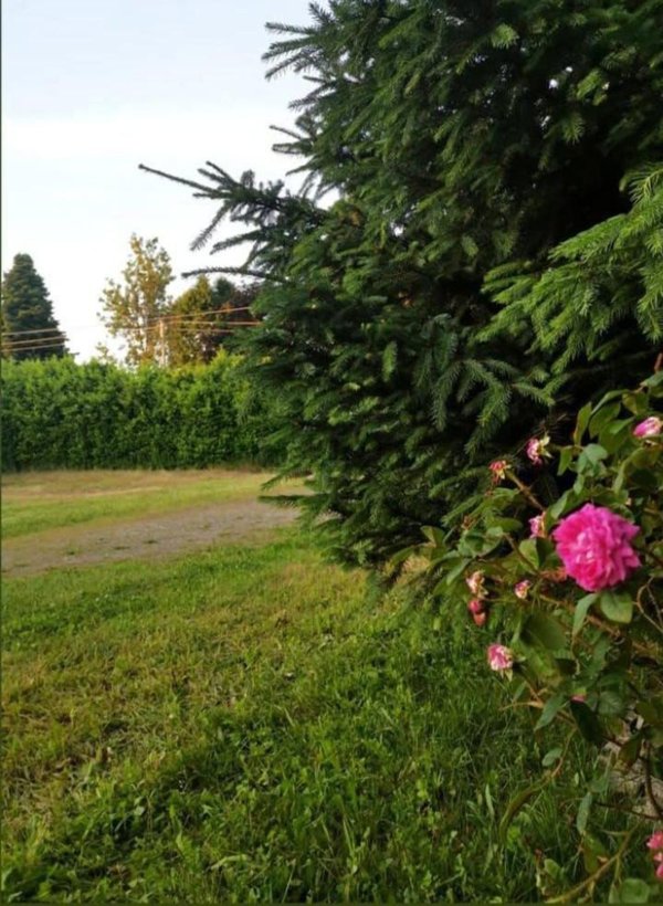 terreno agricolo in vendita a Busto Arsizio