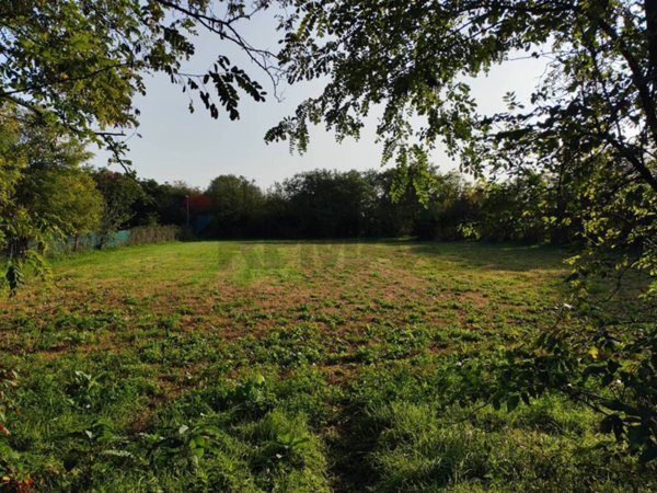 terreno agricolo in vendita a Busto Arsizio