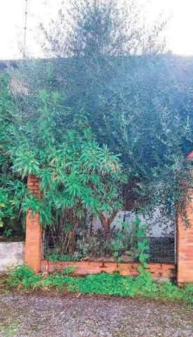 appartamento in vendita a Busto Arsizio