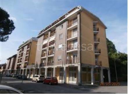 negozio in vendita a Busto Arsizio