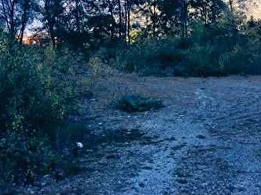 terreno agricolo in vendita a Busto Arsizio