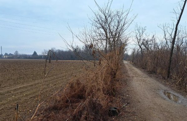 terreno edificabile in vendita a Busto Arsizio in zona Borsano