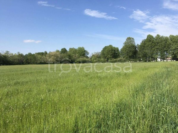 terreno edificabile in vendita a Busto Arsizio in zona Borsano