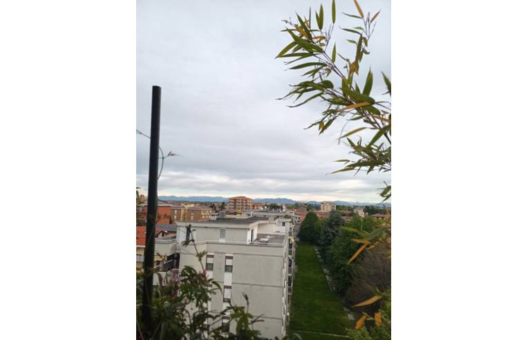 appartamento in vendita a Busto Arsizio