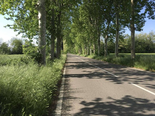 terreno agricolo in vendita a Busto Arsizio in zona Borsano