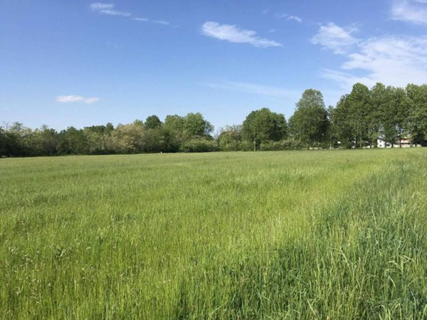 terreno agricolo in vendita a Busto Arsizio in zona Borsano