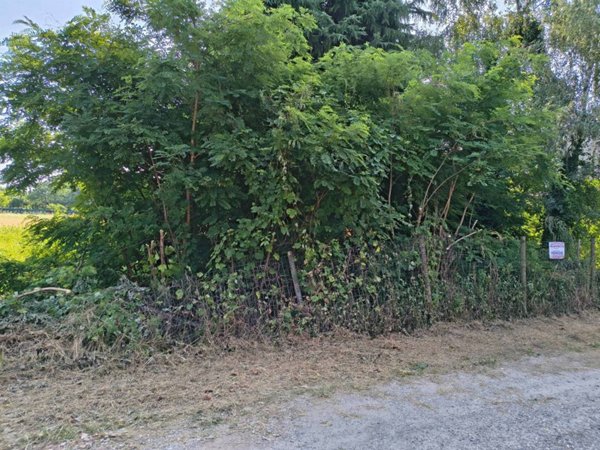 terreno edificabile in vendita a Busto Arsizio in zona Borsano