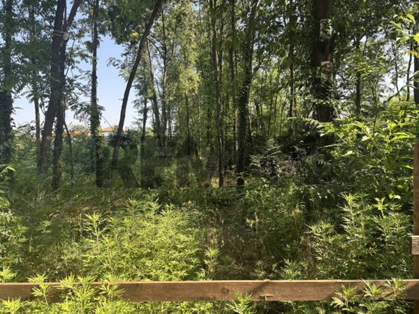 terreno agricolo in vendita a Busto Arsizio