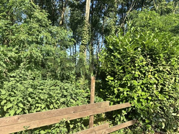 terreno agricolo in vendita a Busto Arsizio