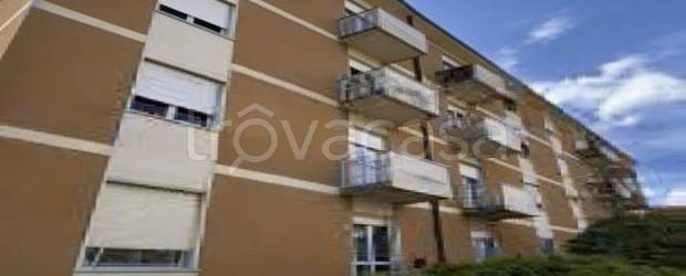 appartamento in vendita a Busto Arsizio
