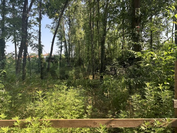 terreno agricolo in vendita a Busto Arsizio